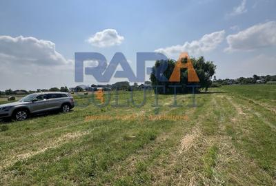 5200 mp intravilan - Str Viitorului (zona Abator) - 3