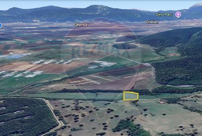 Teren 10,000mp Codlea / DN 1 - 1