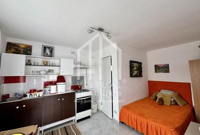 Casa cu 5 camere, 460mp teren, mobilata si utilata, demisol, Cristian - 23