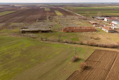 Fermă cu teren intravilan de 35000 mp în Mișca - 16