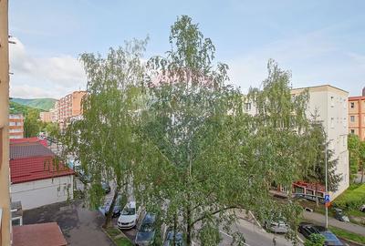 Apartament cu 2 camere de vânzare pe str Zorilor, vedere spre Tampa - 23