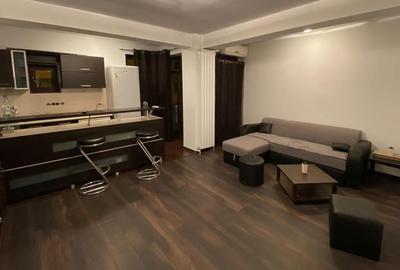 Apartament 2 Camere,Alba Iulia,bl.2012,et.2/4,Amenajat,centrala,mobilat - 12