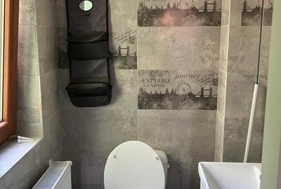 Cale Urseni 3 camere 400 euro - 13