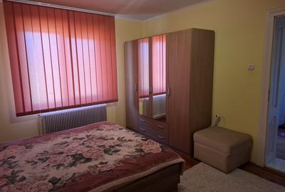 Proprietate mixtă de vânzare în Nădlac – Casă modernă + hală/grajd + teren mare - 14