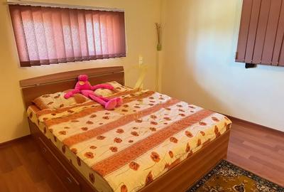 Duplex spațios cu 6 camere | Buziaș - 23