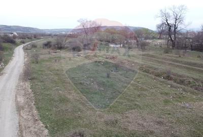 Teren 2,200mp Sebes / Strada Abatorului - 5