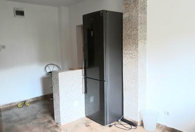 Colentina, Doamna Ghica, Parc Plumbuita, semistradal - 13