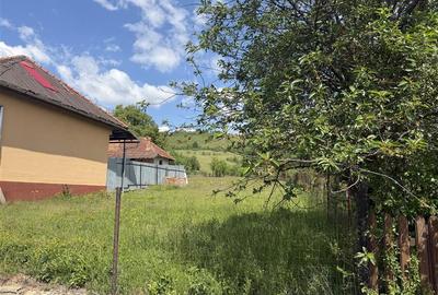 TEREN INTRAVILAN / EXTRAVILAN | DE VANZARE | 1200 MP | ROSIA | BIHOR | - 4