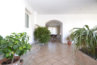 Casa cu teren de 5165 mp, in Becicherecu Mic ,la artera principala - 14