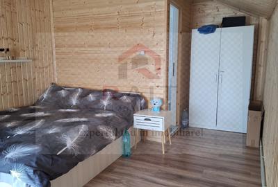 Casa Vacanta Rucar Saticu de Jos Arges - 20
