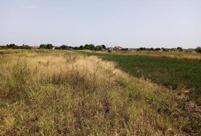 TEREN CONSTRUCTII-CORBEANCA-TAMASI-PRET IMBATABIL-LANGA PADURE-POZITIE BUNA - 4