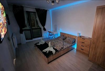 GARSONIERA- PARCUL CAROL, PET-FRIENDLY, CENTRALA PROPRIE, BLOC NOU - 2
