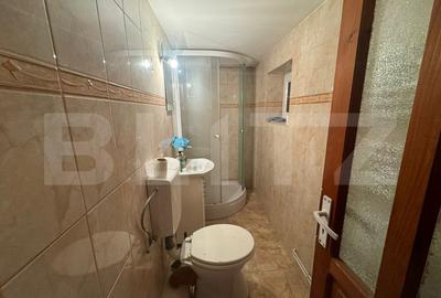 Casa spatioasa cu 4 camere, Nufarul, 240mp - 15