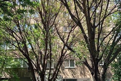 Apartament 3 camere 69 MP | Bloc 1992 | Bd. Gh. Sincai | Ideal familie - 15