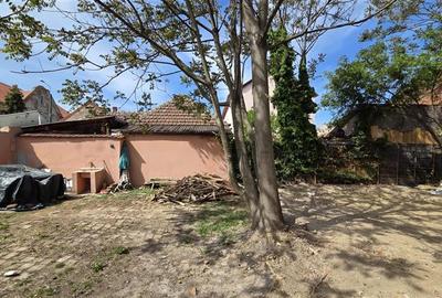 COMISION 0% CASA VECHE CU TEREN STR PREYER IOSEFIN - 13