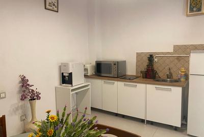Vila individuala Victoriei pretabil birouri clinica restaurant rezidenta - 55