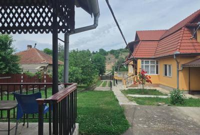Casă cu teren 3.000 mp de vânzare, str. Adevărului-CV0529 - 19