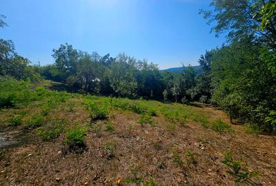 Teren intravilan 2322 mp, Păcuri – vedere superbă spre pădure! - 6