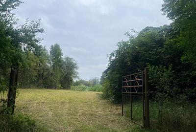DE NERATAT-de vanzare teren intravilan, 2400 mp, Pachia, Covasna! - 3