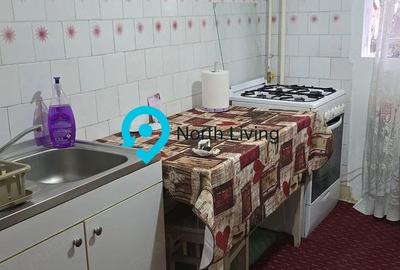Apartament 3 camere de vânzare – Apărătorii Patriei - 11