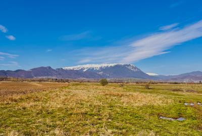 Teren intravilan Râșnov – Glejerie  5 parcele x 1000 mp  Capăt Str. Greierilor - 2