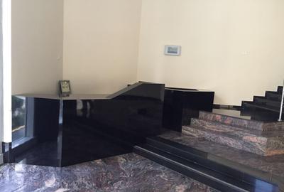 PIATA VICTORIEI - Titulescu spatiu birouri etaj 1 lux 255 mp - 3