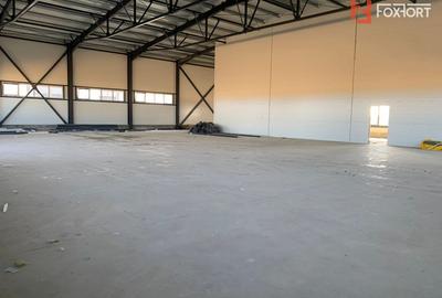 Hala industriala 600 mp, curte 1398 mp, parcare, toate utilitatile - Ghiroda - 7