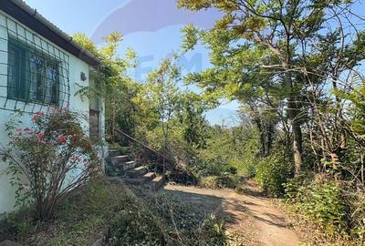 Teren intravilan 589 mp si cabana din caramida in Cuvin - 1