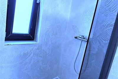 Apartament 2 Camere Bucium - 450 euro - 10