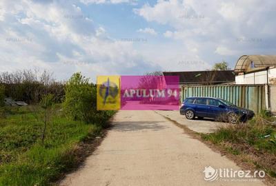 Hală 3600mp zona de Sud a capitalei - 10