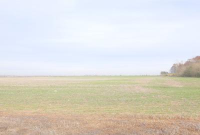 Ocazie ! GHERGHITA - nodul A3, 27 Ha. teren compact cu P.U.Z. aprobat - 2