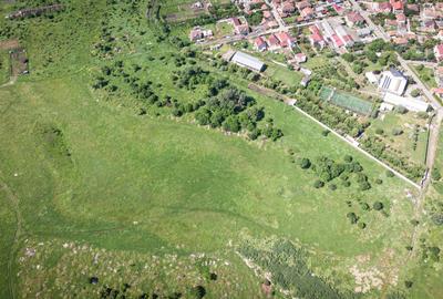 Teren intravilan 20.800 mp, Grădiște - 2