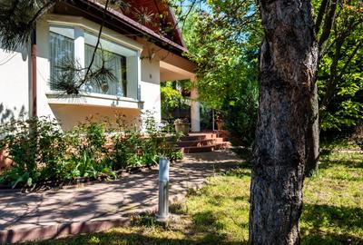 Saftica - vanzare vilă 5 camere complet mobilata, curte+gradina, DN1 - 44