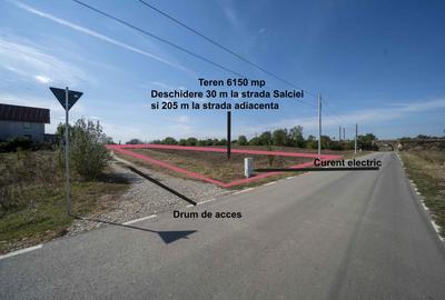 Teren 6000mp*Domnesti*Salciei-Haltei-Ciocarliei*Drum asfaltat cu utilitati - 1