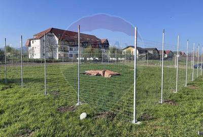 Teren Harman zona str Preot Dumitru Greceanu, 397mp, front la 2 strazi - 12