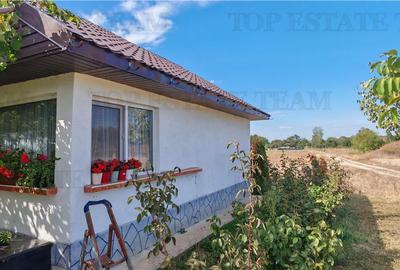 Ferma 3,3ha, din care 2,5ha intravilan, vila 7 camere, D+P+E+M, casa pentru munc - 17