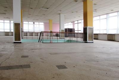 Diverse activitati comerciale si office - 6