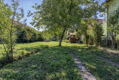 Casa vacanta,investitie  in Gurahont cu teren generos - 22