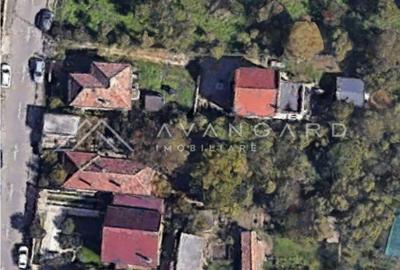 Teren intravilan de vanzare in Dambul Rotund - stada Doinei - 3