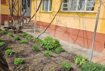 Casa de vanzare, teren 2377mp, Ceanu Mic, judetul Cluj - 4