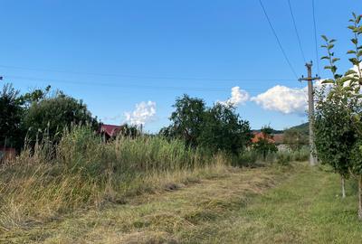 Teren intravilan în zona linistita - 3