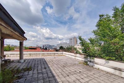 Dorobanți – Capitale | Strada Brazilia | Potențial Excepțional - 12