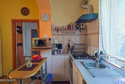 Lunei - Ion Neculce, 2 Apartamente. Mansarda 157 mp. Anexe, Lot 475 mp - 29