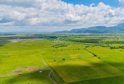 Teren de investiție în zona Tohanul Nou - Bran  5.800 mp - 9