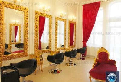 Vila cu 14 camere de vanzare, zona Ultracentral, 327 mp #13125 - 6