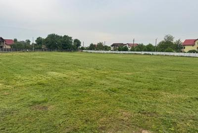 TEREN INTRAVILAN 4045 mp  CACIULATI - MOARA VLASIEI - 1