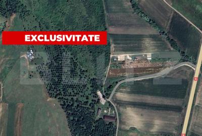Teren agricol extravilan de 5996 mp, în Teiuș