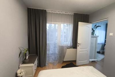 Apartament La Cheie Renovat/Ultilat/Mobilat Zona Linistita Dambu Pietros - 10
