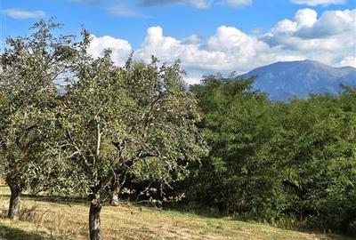 Teren agricol extravilan de 2500 mp, în Periferie