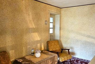Proprietate cu 6329 mp teren intravilan,Casa P+1 si anexe, Alexandru cel Bun - 19